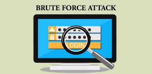 هجمات القوة الغاشمة 