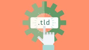 TLD: تعريفه وأهميته وكيف ينبغي عليك اختياره لموقعك؟؟ 4 TLD